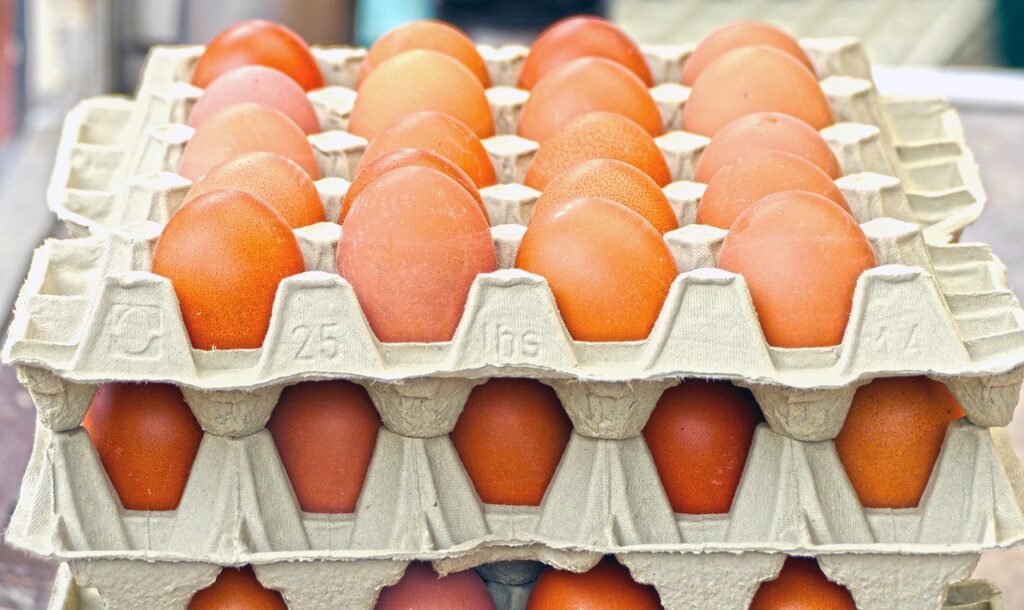 eggs, hen's egg, egg carton-2660334.jpg